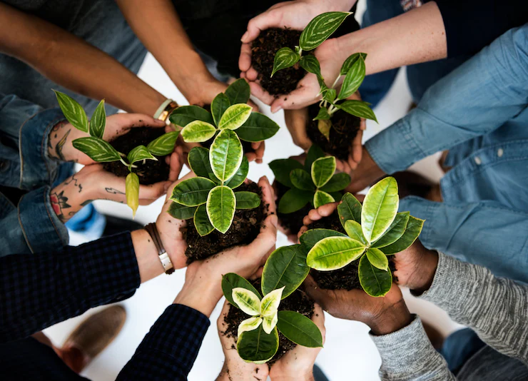 Responsabilidade Ambiental
